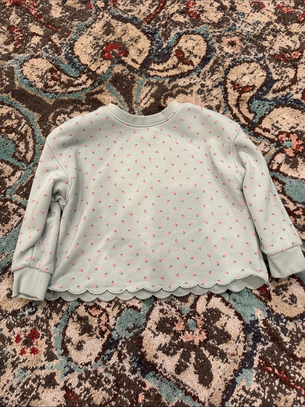 Amazon Essentials Mint Crewneck Sweatshirt with Pink Dot Accents